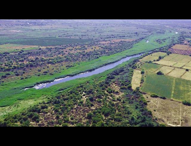 FARM FOR SALE IN CALITZDORP